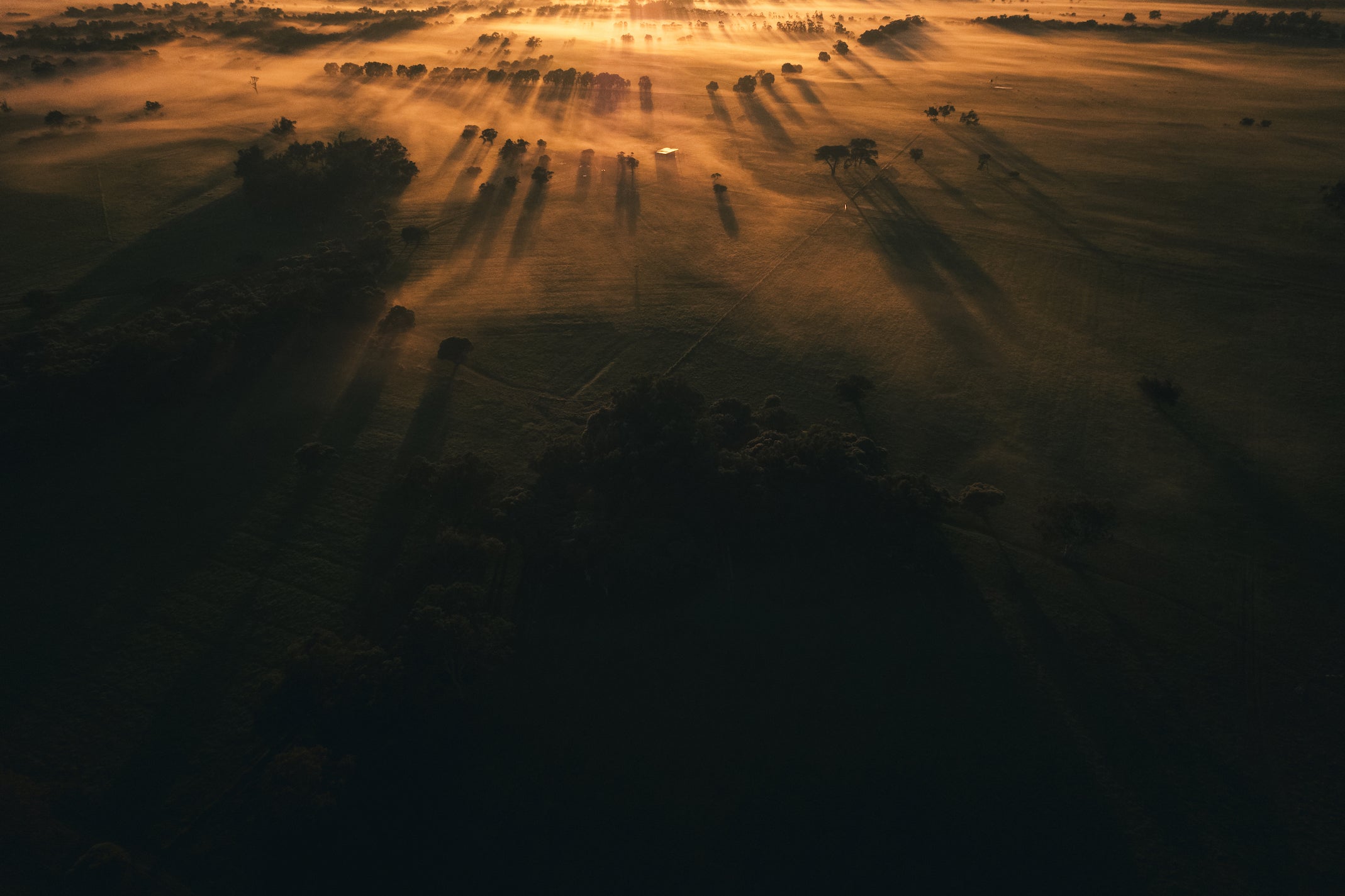 Best Wholesale Coffee & Roaster, Perth | Margaret River Roasting Co