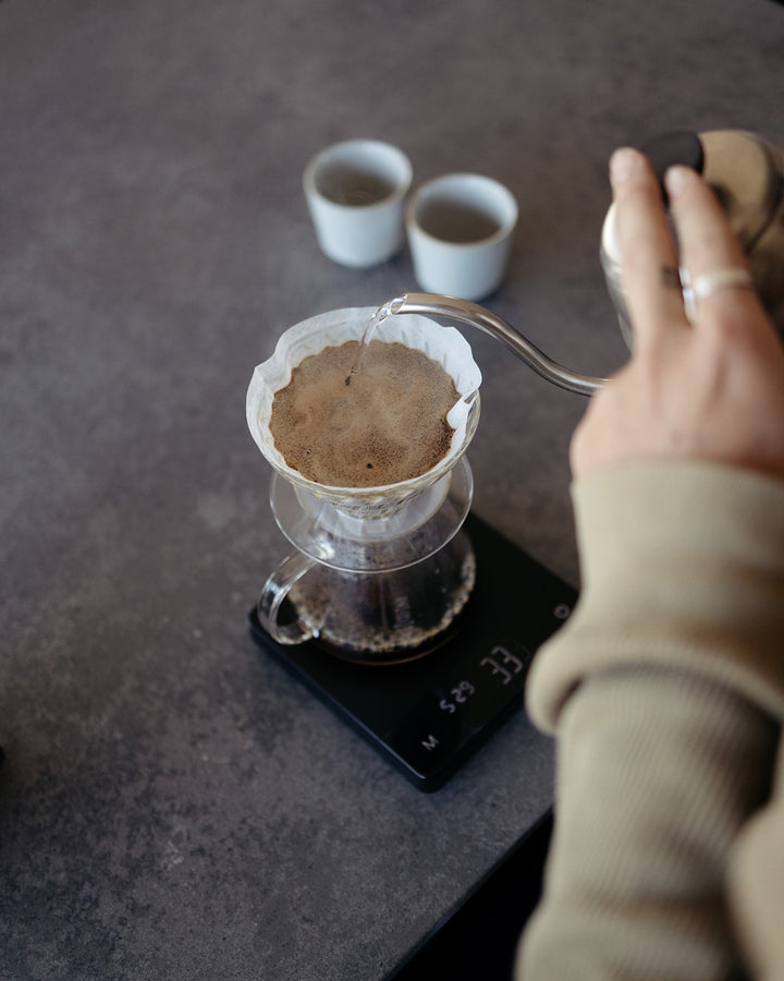 Single Origin Filter Roast Subscription - 1kg (every 4 weeks) - Margaret River Roasting Co
